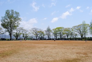 DSC_0010