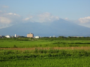 DSC02014